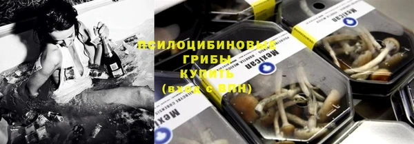 дживик Каменногорск