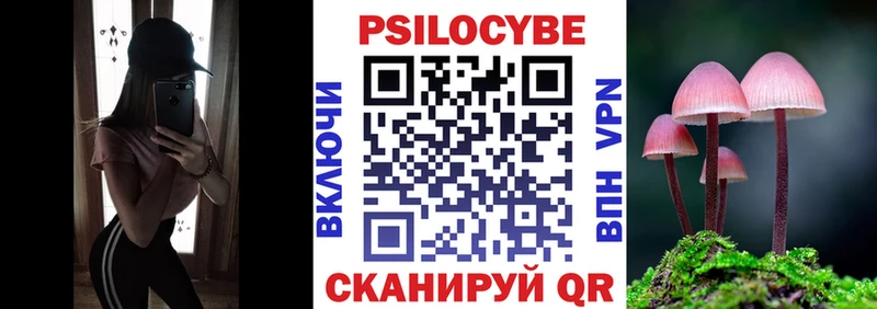 Купить  Подпорожье  Галлюциногенные грибы Psilocybe 