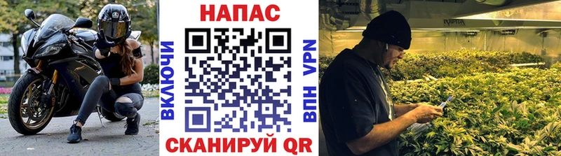 Шишки марихуана THC 21%  Купить  Подпорожье 